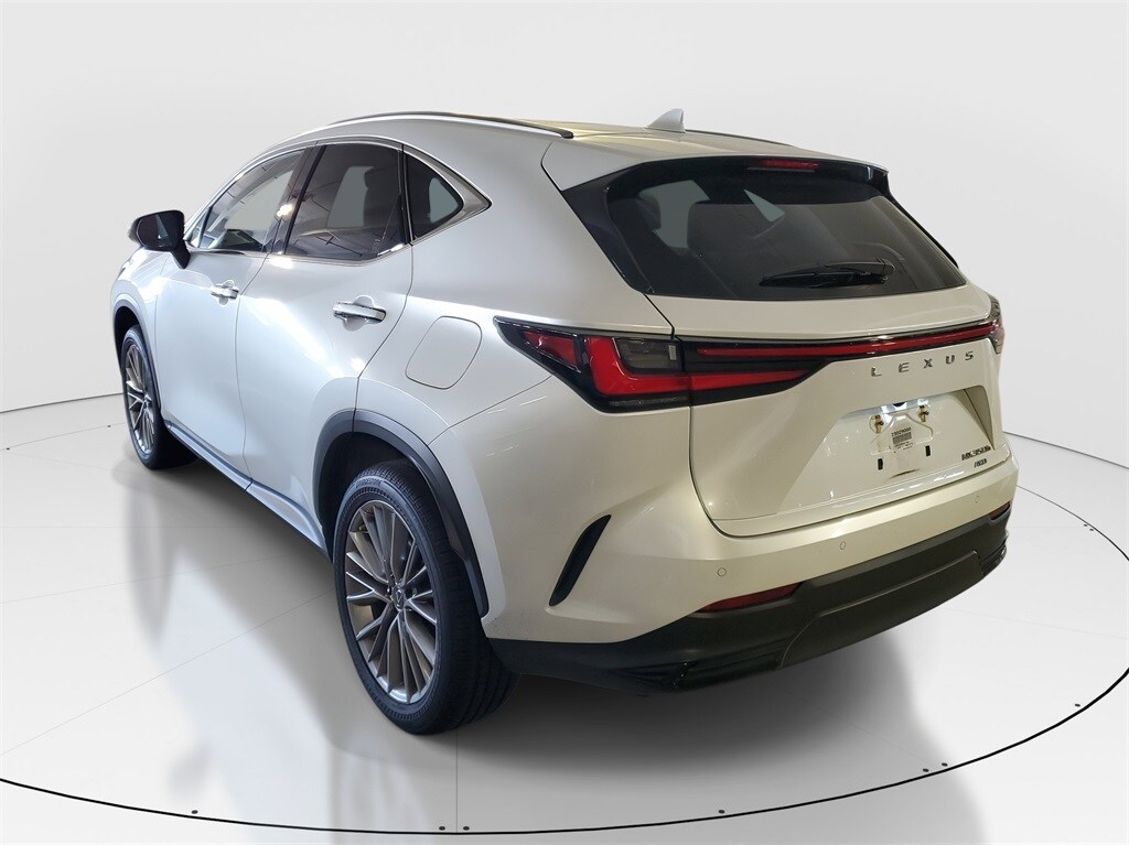 2023 Lexus NX 350h Luxury photo 4