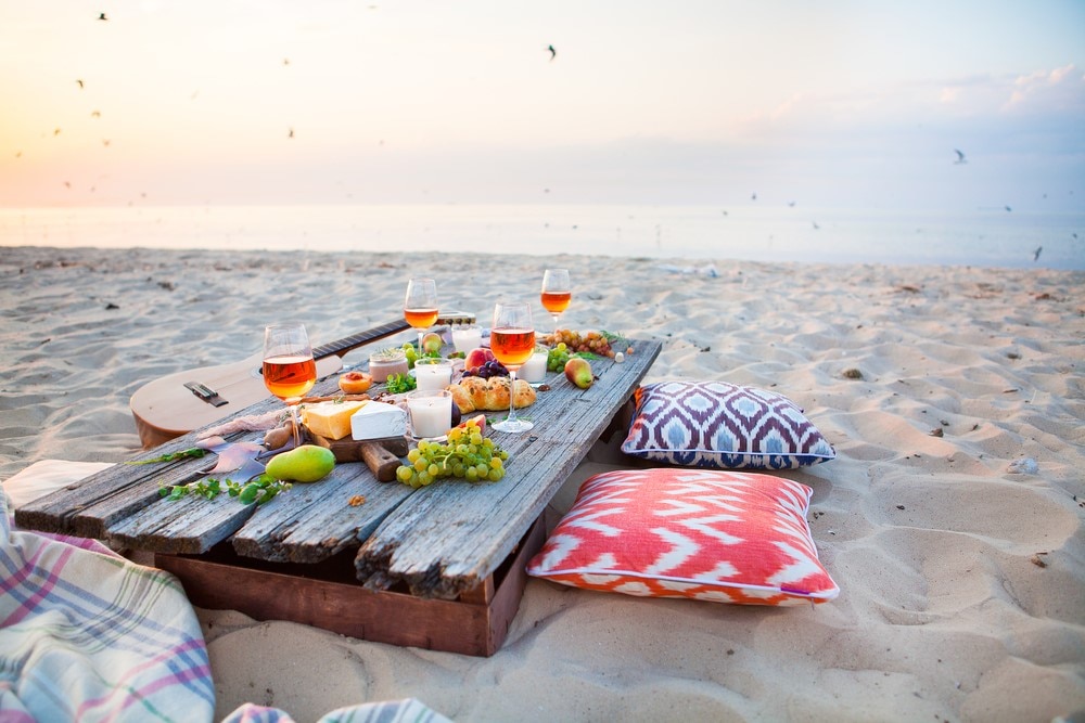 Beach Picnic in Southern Florida