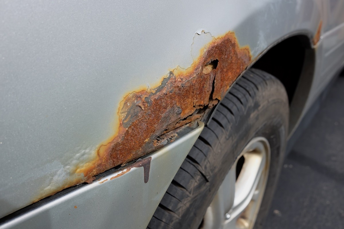 How To Quickly Remove Tree Sap From Car - Avoiding Costly Automotive  Repairs 