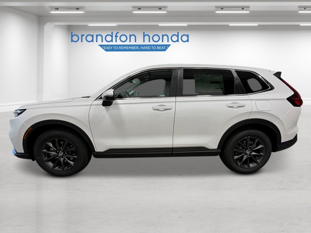 2026 Honda CR-V EX-L photo 2