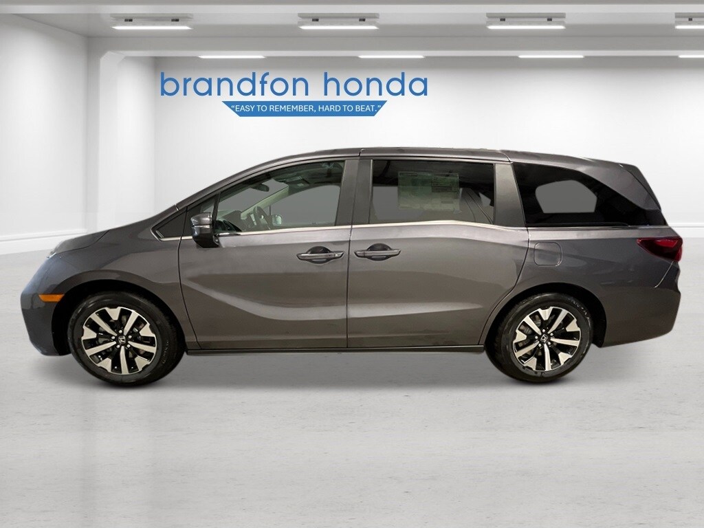 2026 Honda Odyssey EX-L photo 2