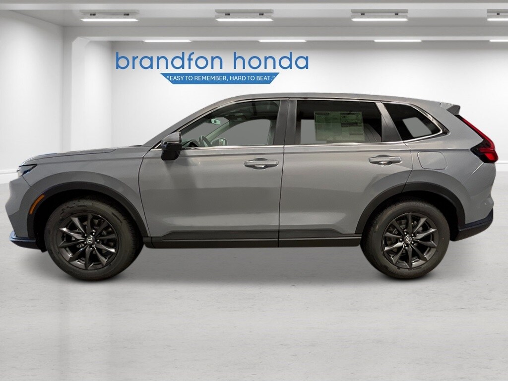 2026 Honda CR-V EX-L photo 2