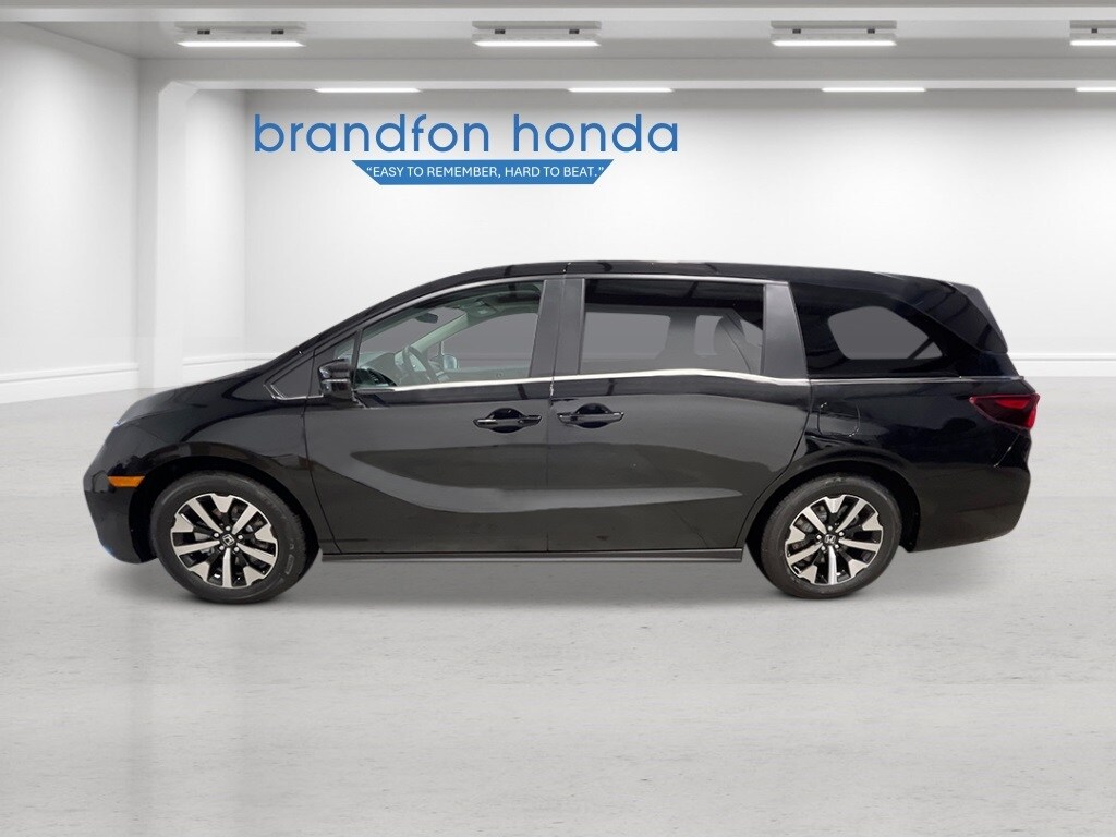 2026 Honda Odyssey EX-L photo 2