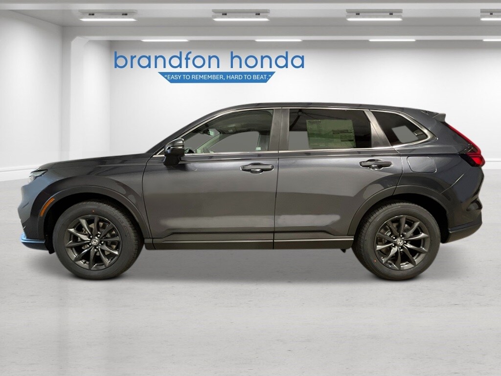 2026 Honda CR-V EX-L photo 2
