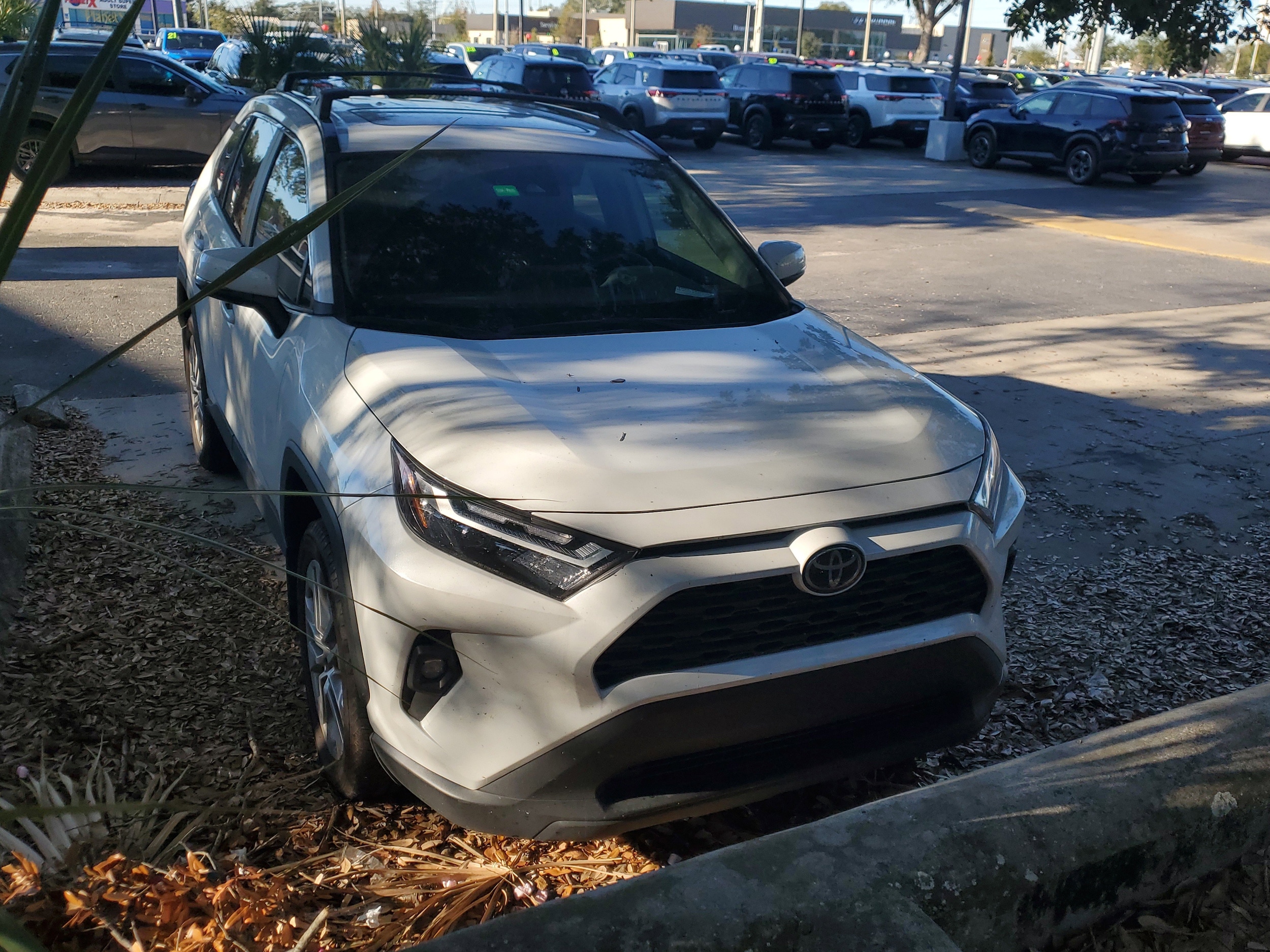 2024 Toyota RAV4 XLE Premium's photo