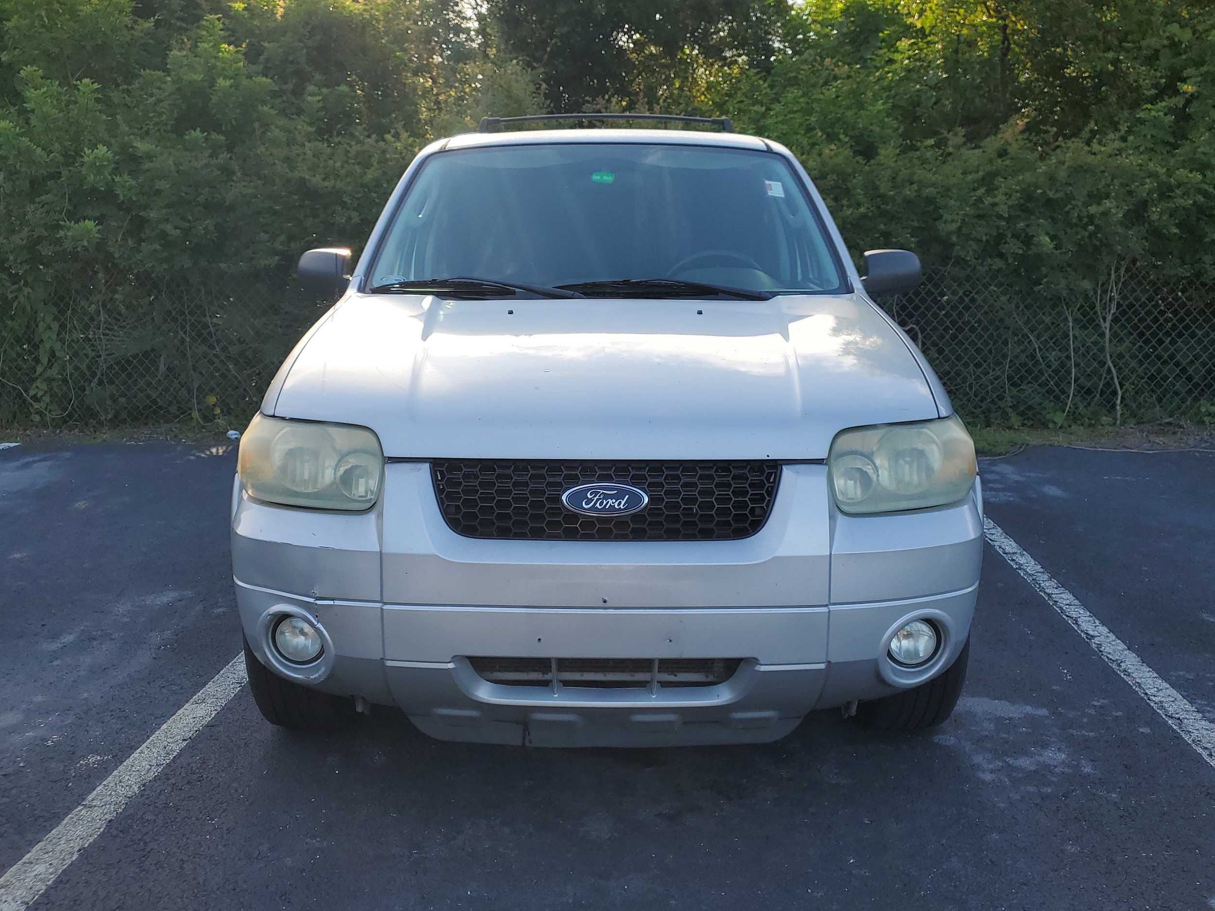 Used 2007 Ford Escape XLT with VIN 1FMYU93197KA44072 for sale in Tampa, FL