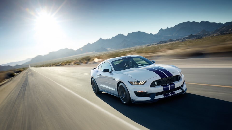 Shlby cobra.jpg