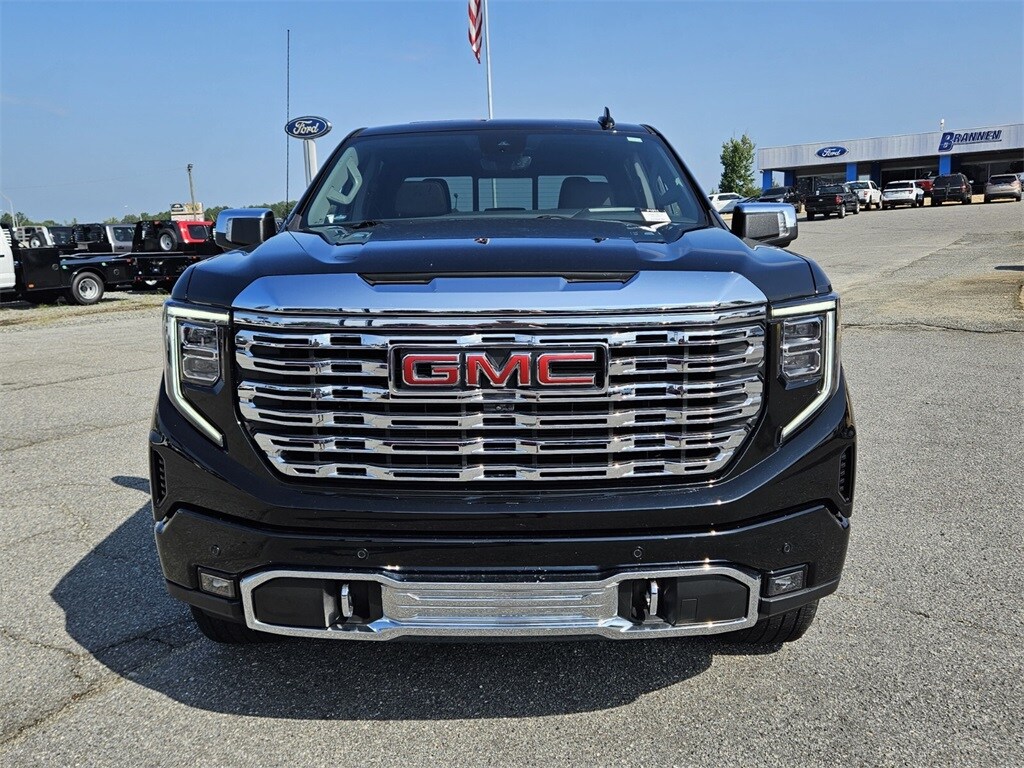 2024 Gmc Sierra 1500 Denali photo 2