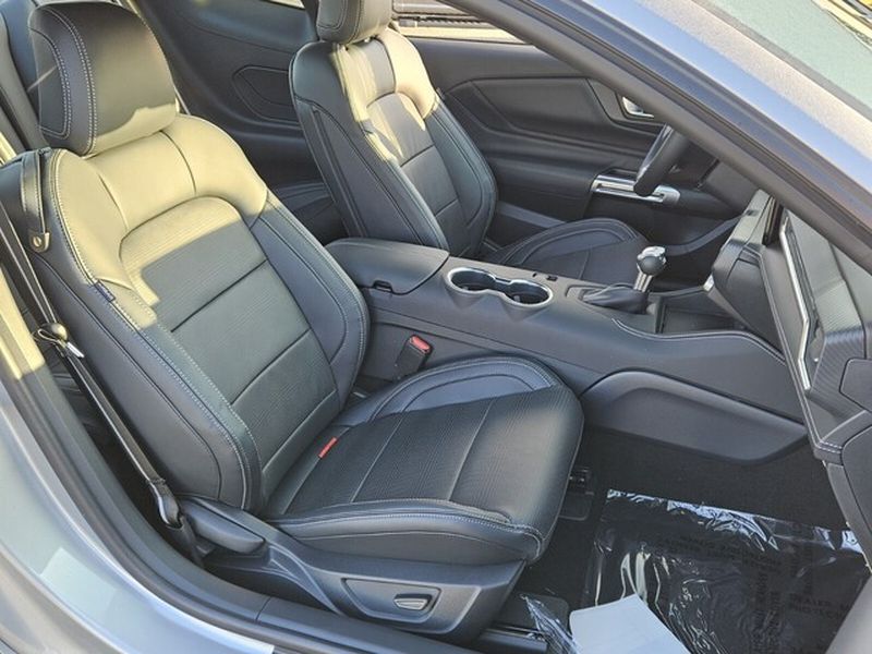 2025 Ford Mustang EcoBoost Premium Fastback - Photo 13