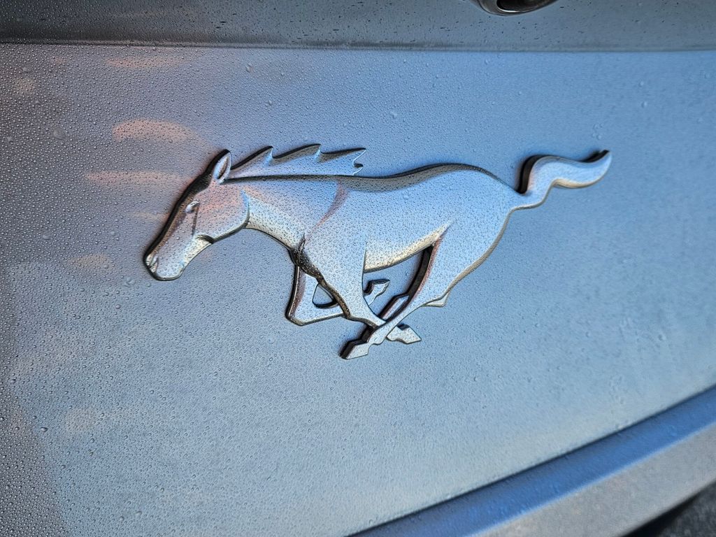 2025 Ford Mustang EcoBoost Premium Fastback - Photo 8