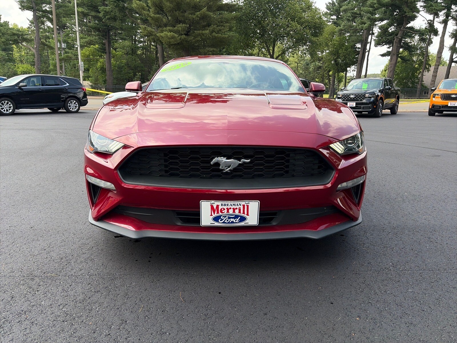 1FA6P8TH4J5161659