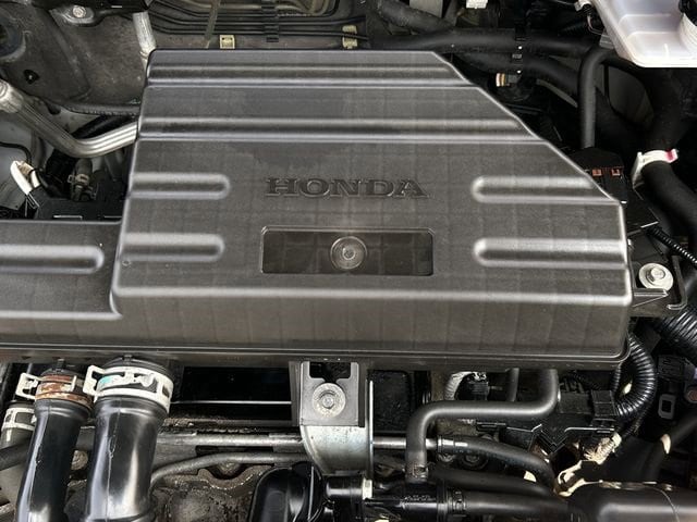 View 29