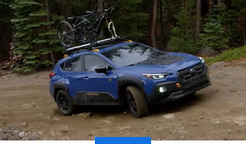 Bold, Protective Design