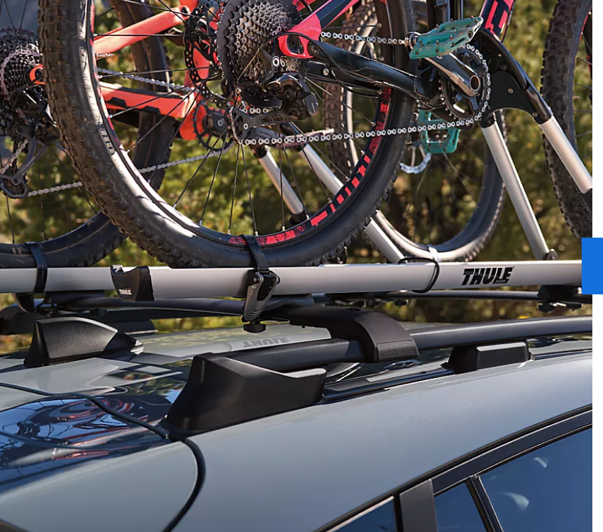 Integrated Roof Rails