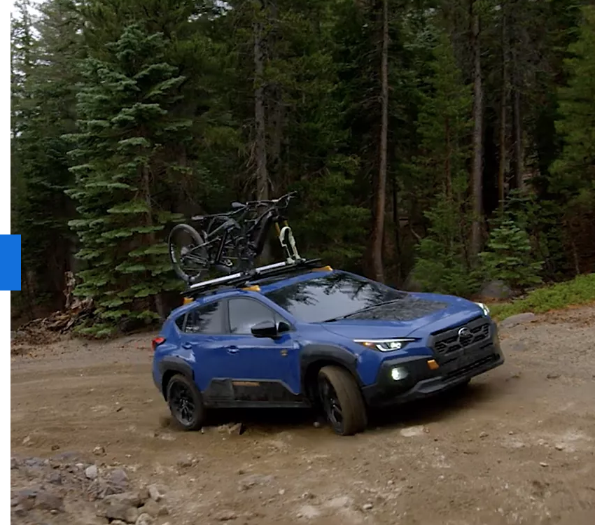 Bold, Protective Design