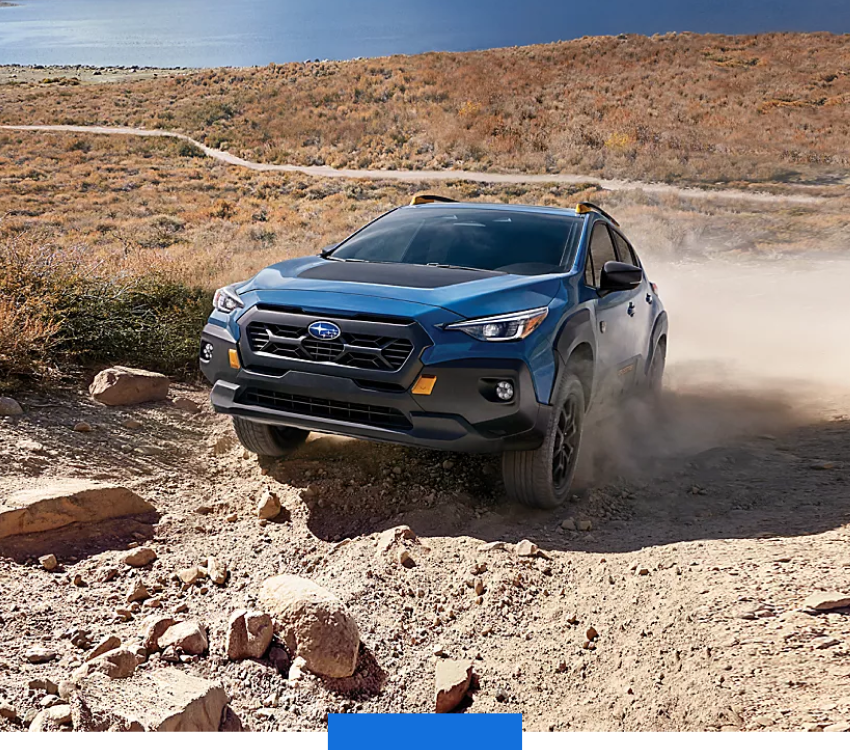 Engineered to Explore