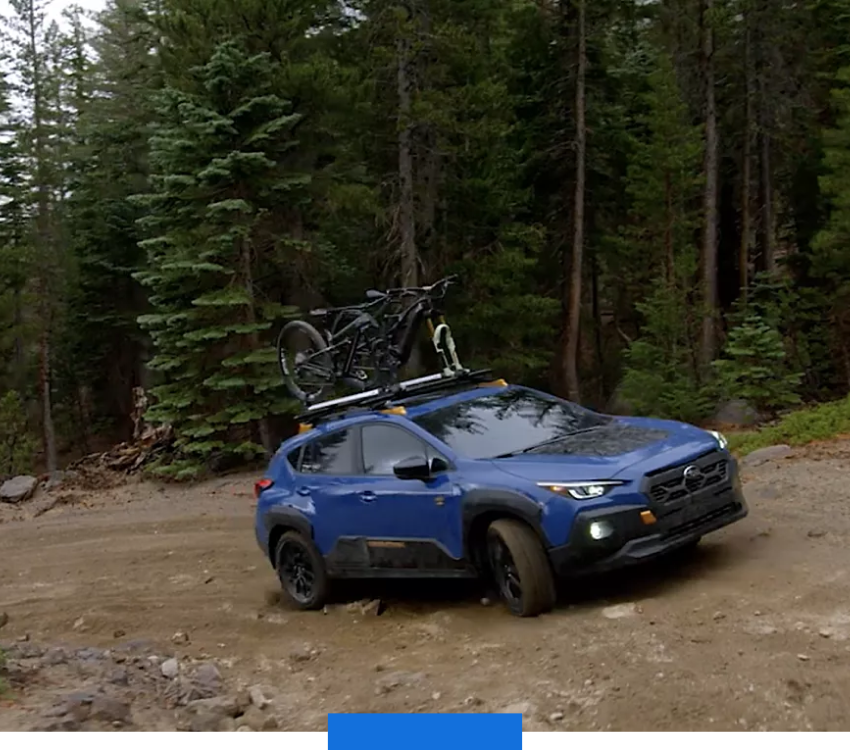 Bold, Protective Design