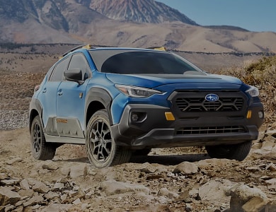 Crosstrek Wilderness