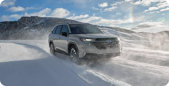 Capability and Efficiency