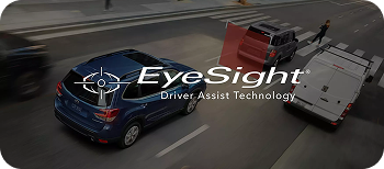 An extra set of eyes on the road and if need be, an extra foot on the brake when you drive.