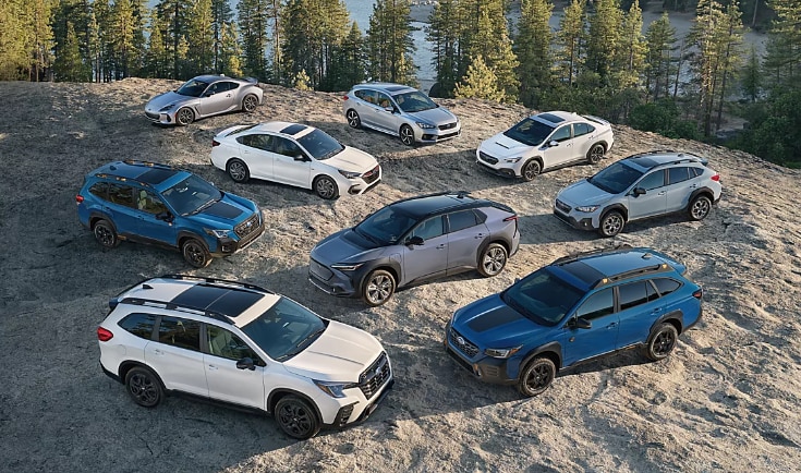 Types of Subarus Available in Brewster, NY: Explore the Full Lineup