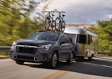 2025 ascent