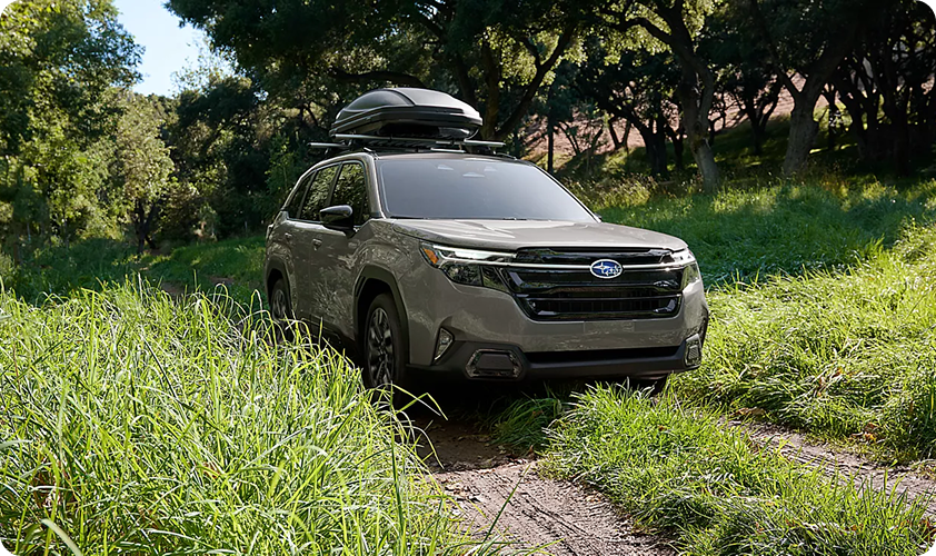 Versatile Capability