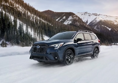 2025 ascent