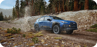 All-Weather Capability in a Right-Sized Compact SUV