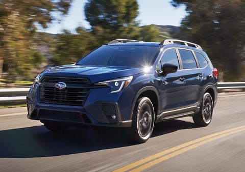 2025 ascent