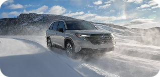 Capability and Efficiency