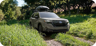 Versatile Capability