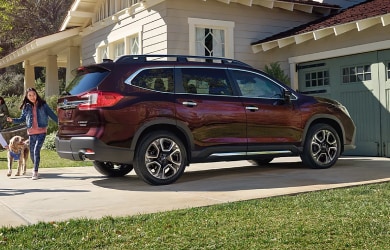 2025 ascent