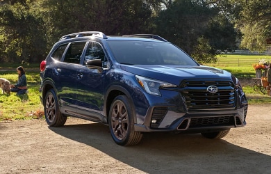 2025 ascent