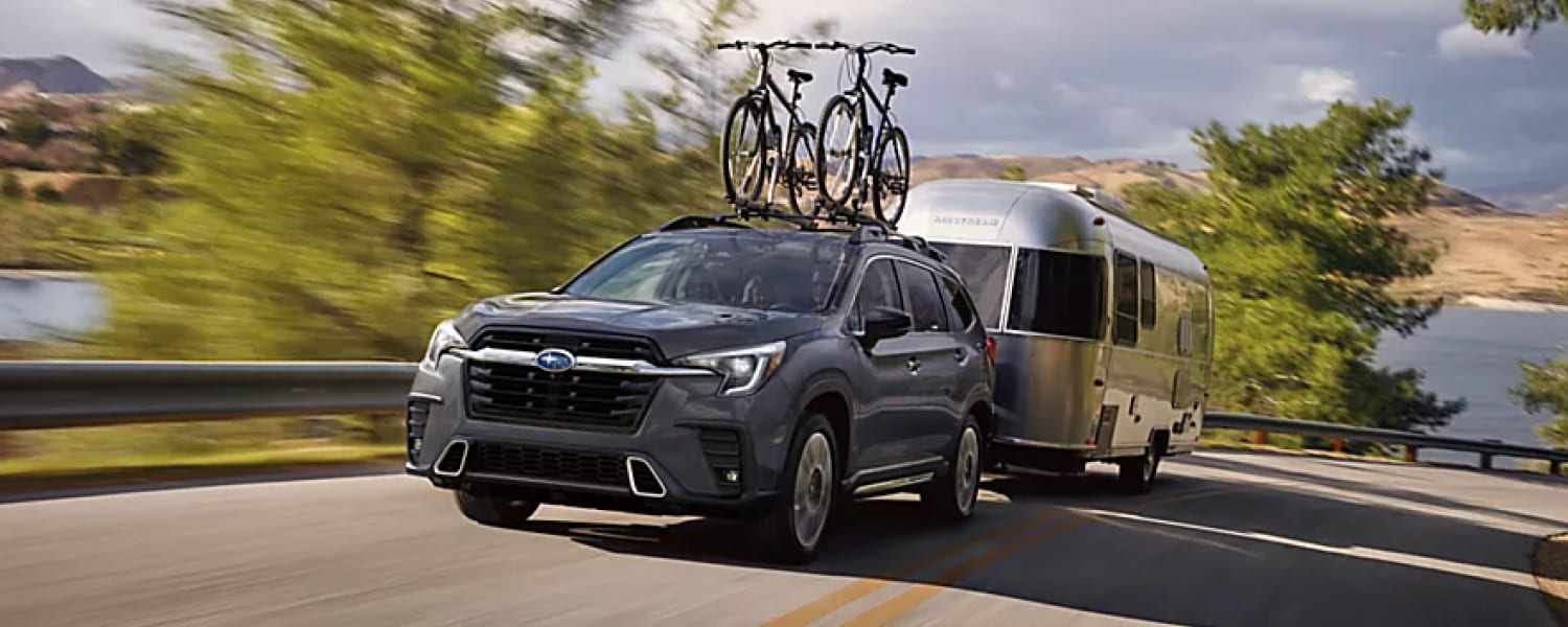 2025 ascent