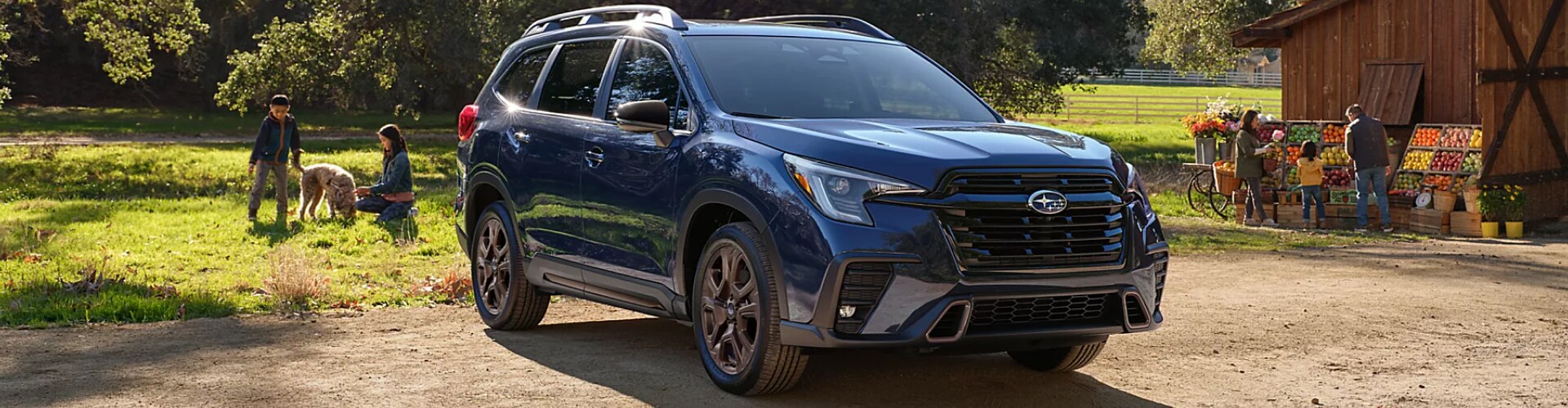 2025 ascent