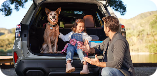 A Trusted Investment