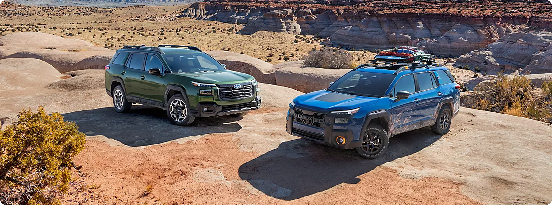 Adventure favors the bold.