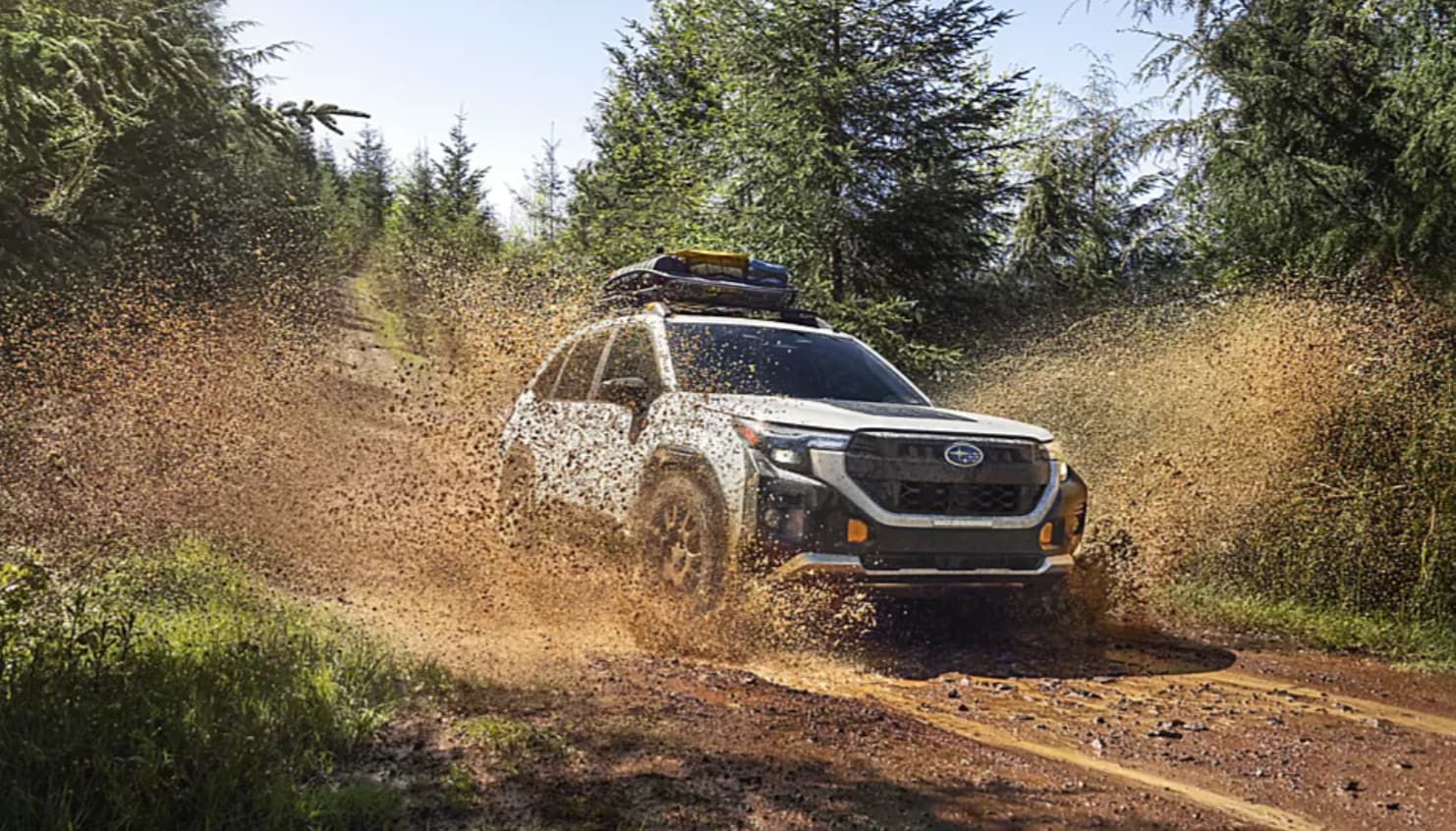 Subaru Forester for lease or for sale available at Brewster Subaru in Brewster, NY