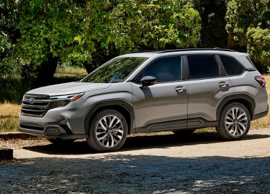 Gray 2025 Subaru Forester parked in sunny forest setting near Danbury, CT