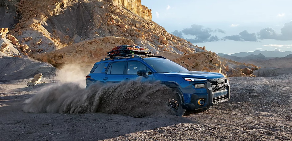 Subaru Wilderness lineup available at Brewster, NY in Brewster Subaru