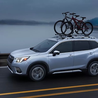 2023 Subaru Forester Danbury CT Brewster Subaru