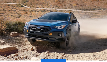 Engineered to Explore