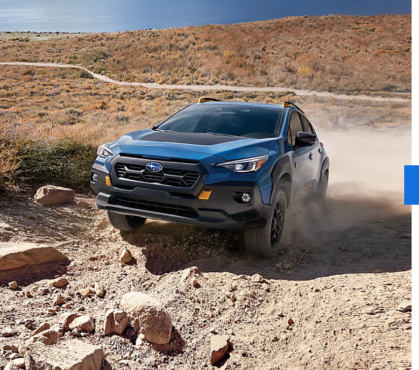 Embrace Adventure with Subaru Wilderness Edition Models