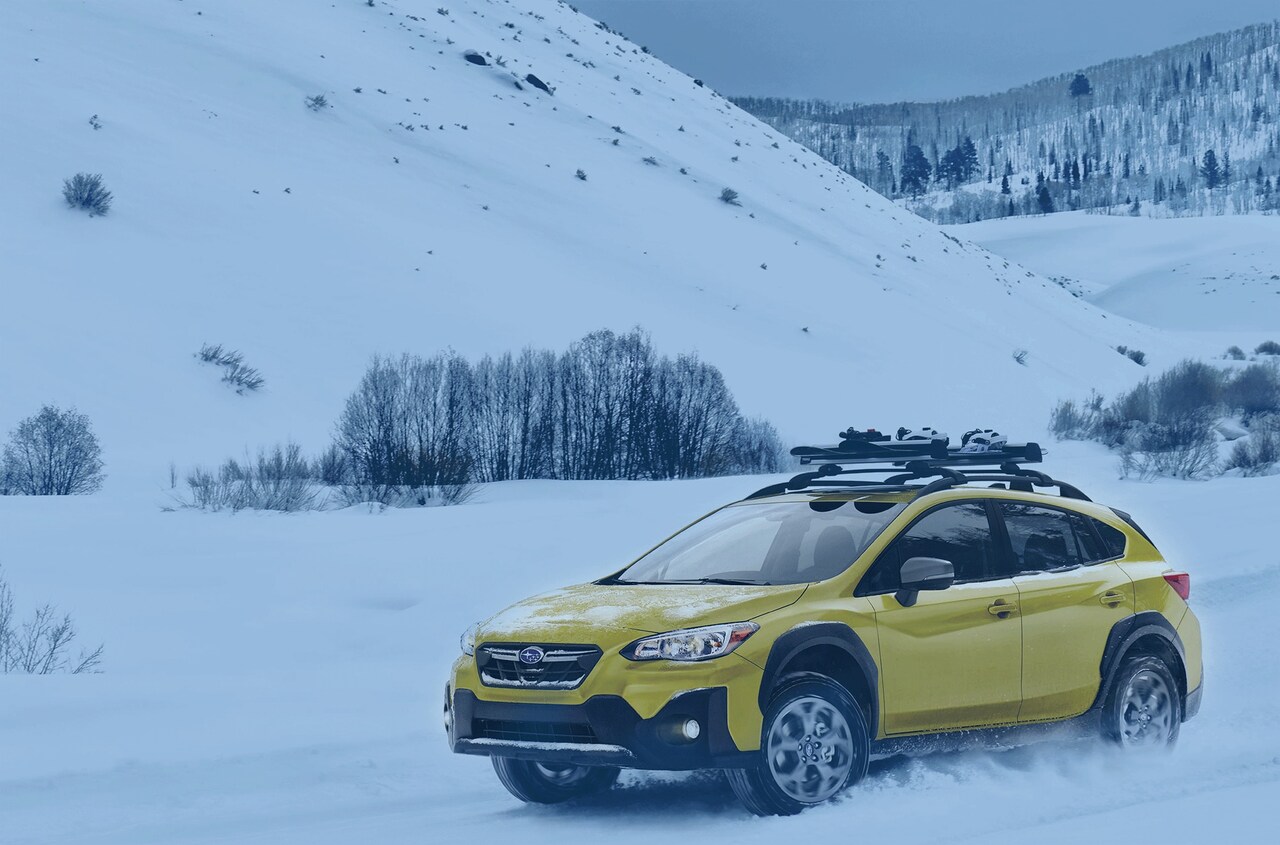 Brewster Subaru New & Used Subaru Car Dealership serving Westchester