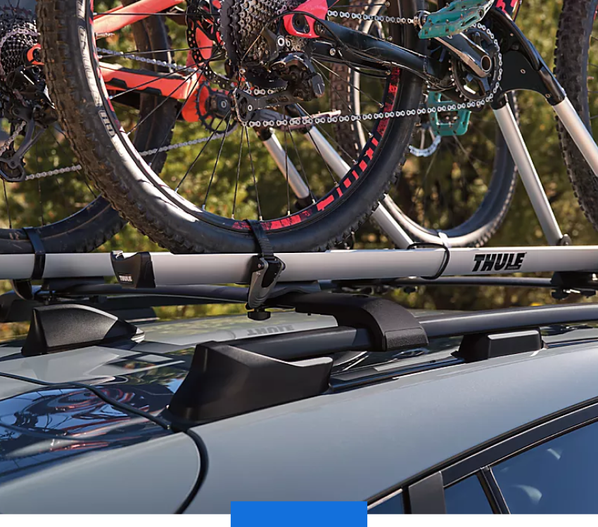 Integrated Roof Rails