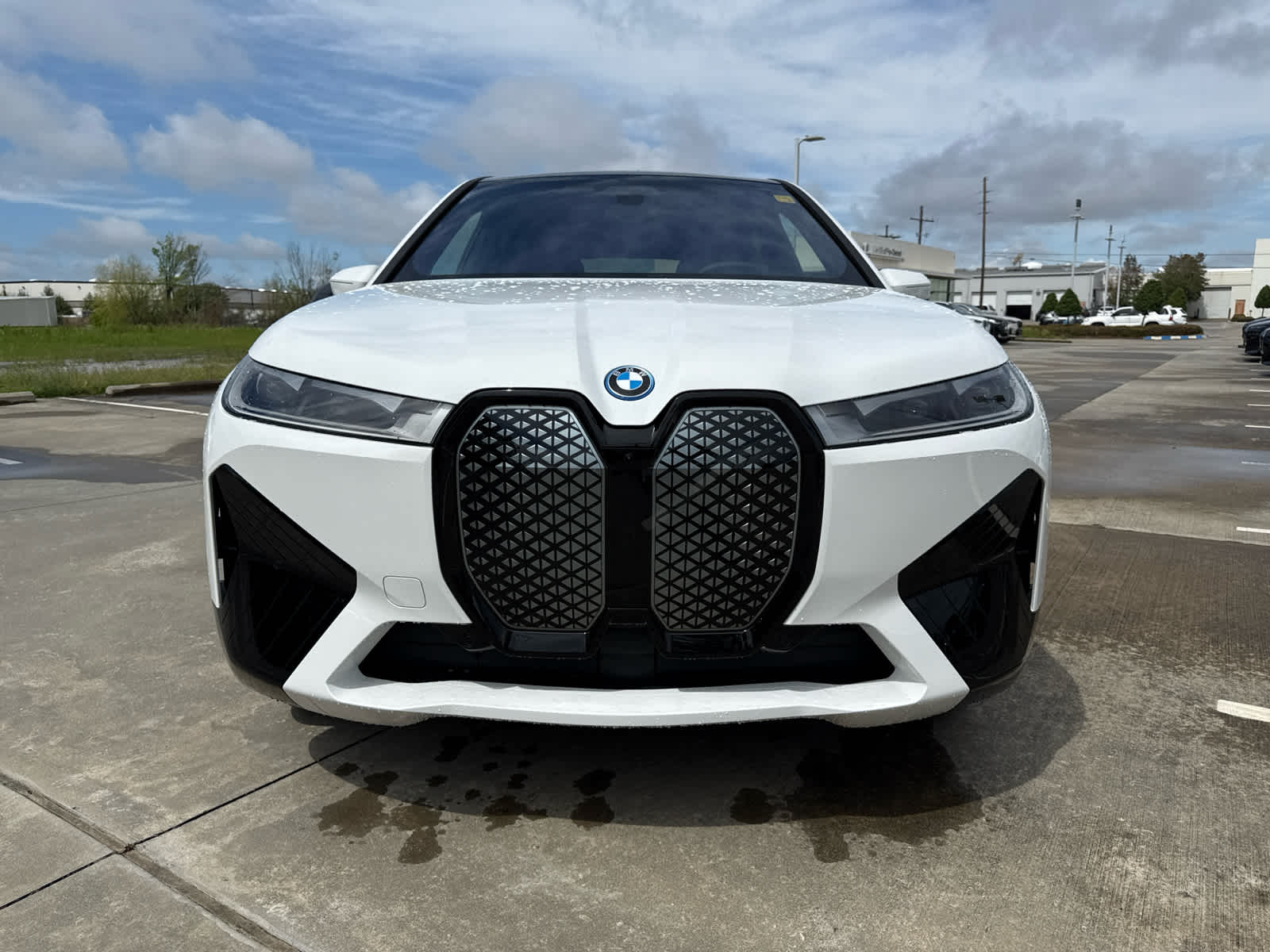 2025 Bmw iX photo 2