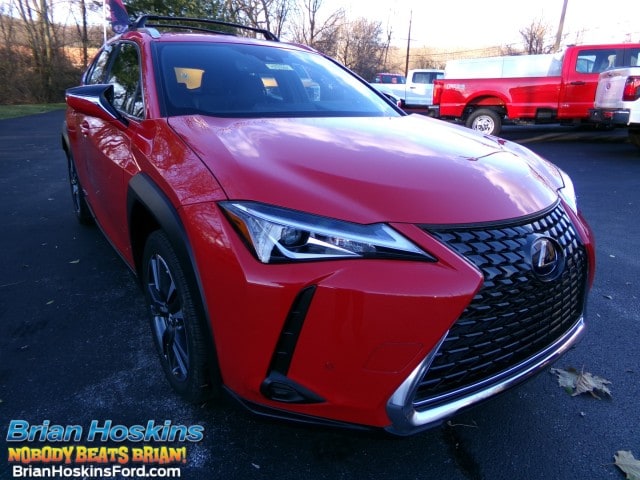 2021 Lexus UX Hybrid 250h's photo