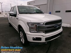2020 Ford F-150 Platinum CrewCab 4x4 Pickup Truck in Coatesville