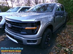 2025 Ford F-150 XLT CrewCab 4x4 Truck SuperCrew Cab